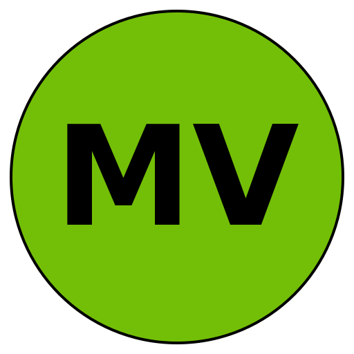 MeisterVision