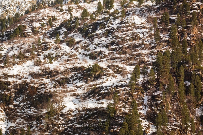 Mountain Hiking